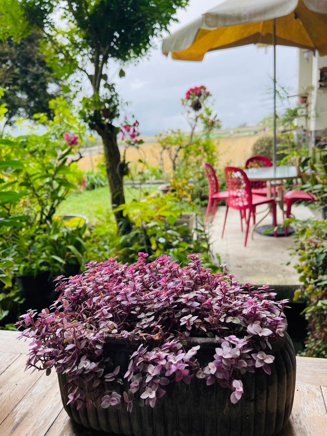 Xian Qing Yu Zhi Homestay Chishang Exteriér fotografie